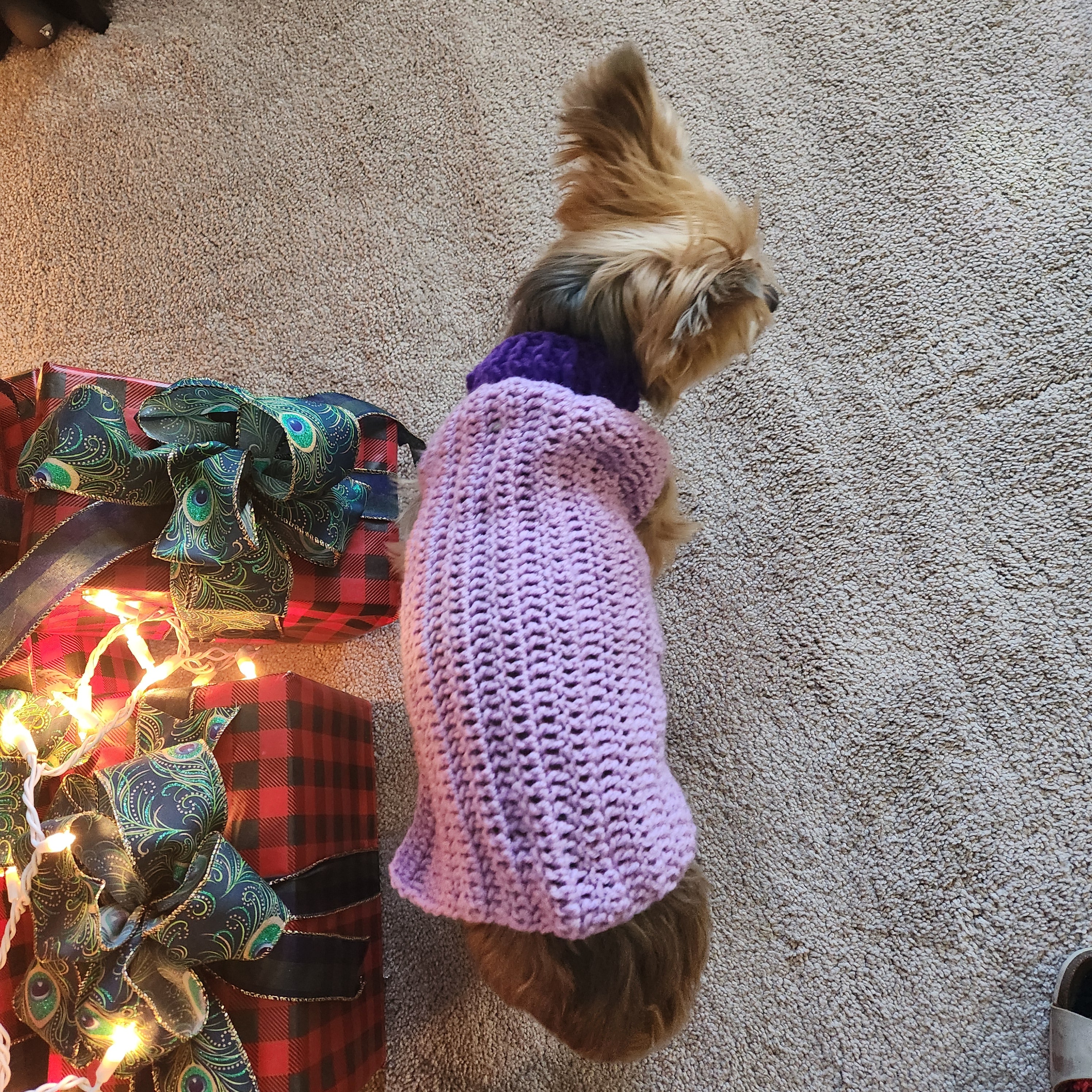 Crochet Pet Sweater