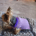Crochet Pet Sweater