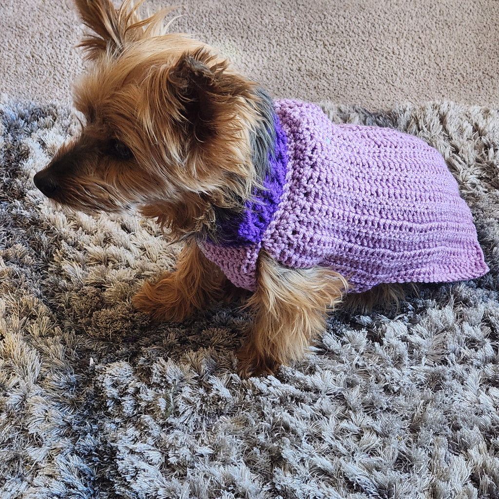 Crochet Pet Sweater